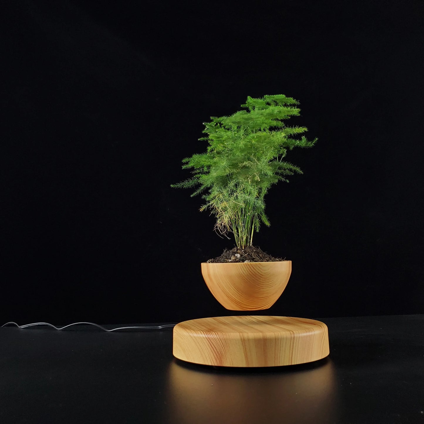 HCNT Levitating Flower Pot