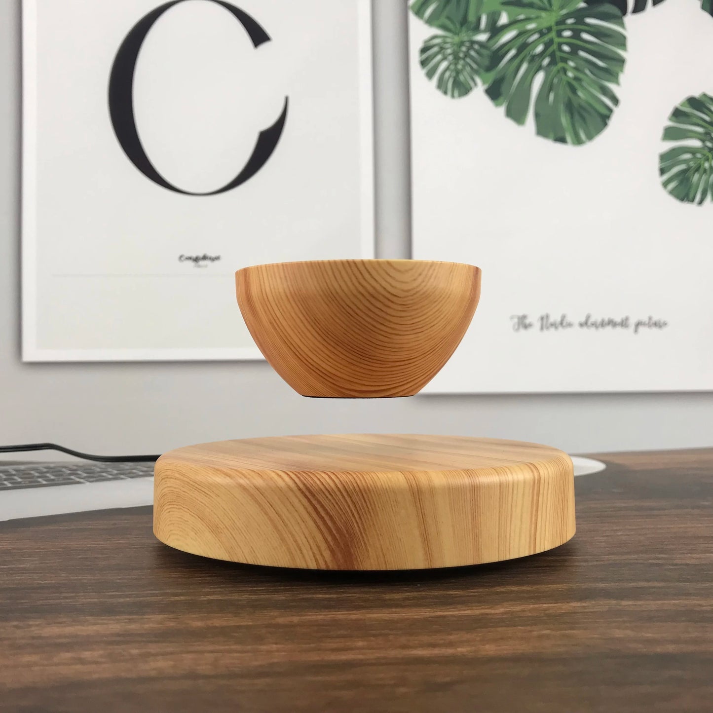 HCNT Levitating Flower Pot