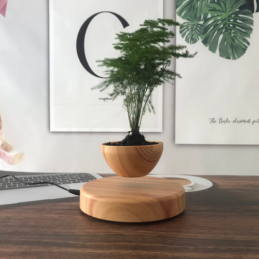 HCNT Levitating Flower Pot